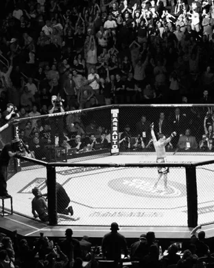 Victory Fighting League