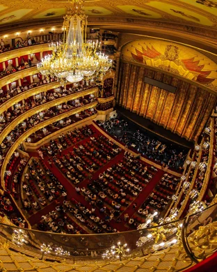 American Modern Opera Company: